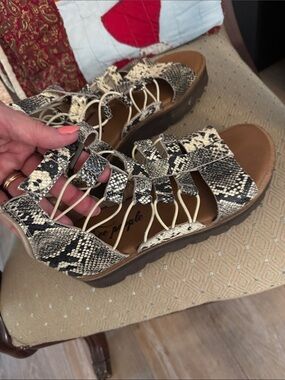 Free People Snake-Print Lace-Up Sandals - Black & Cream